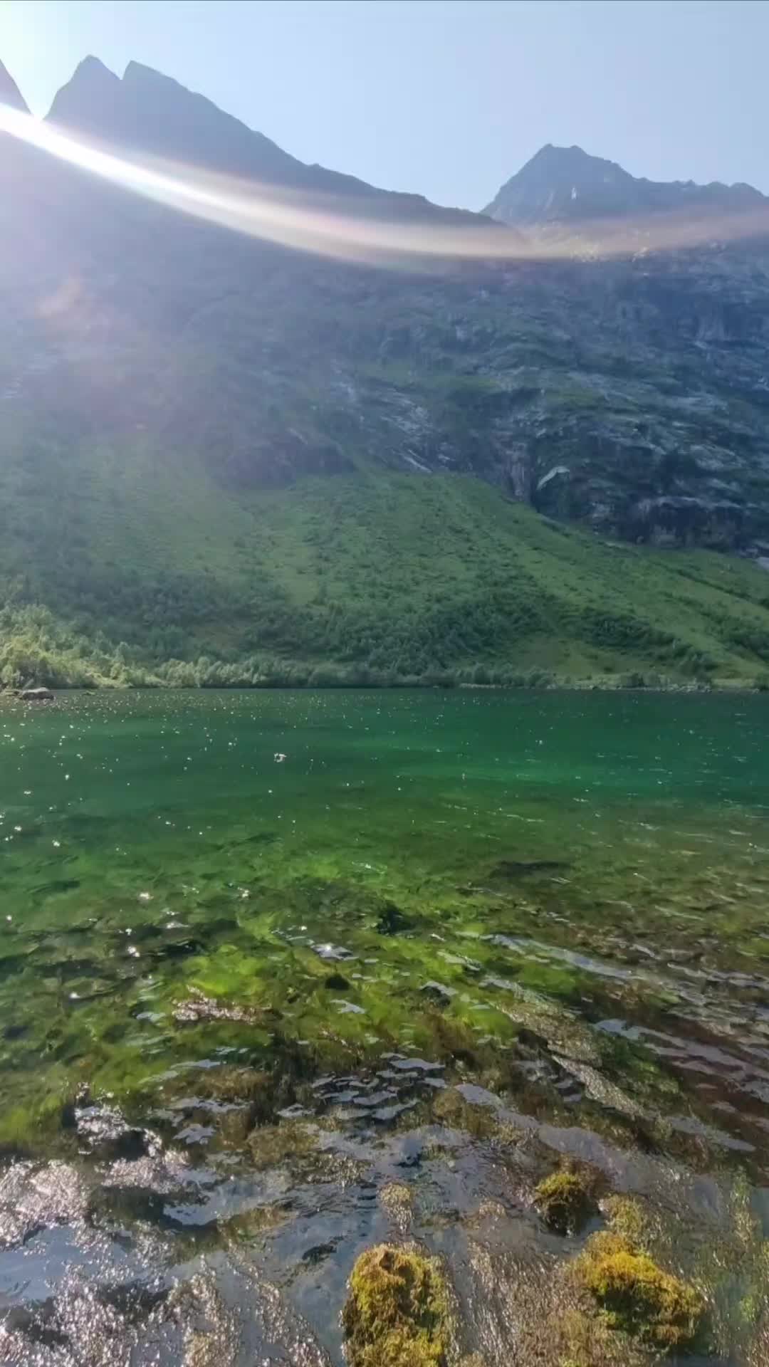 @PM💚