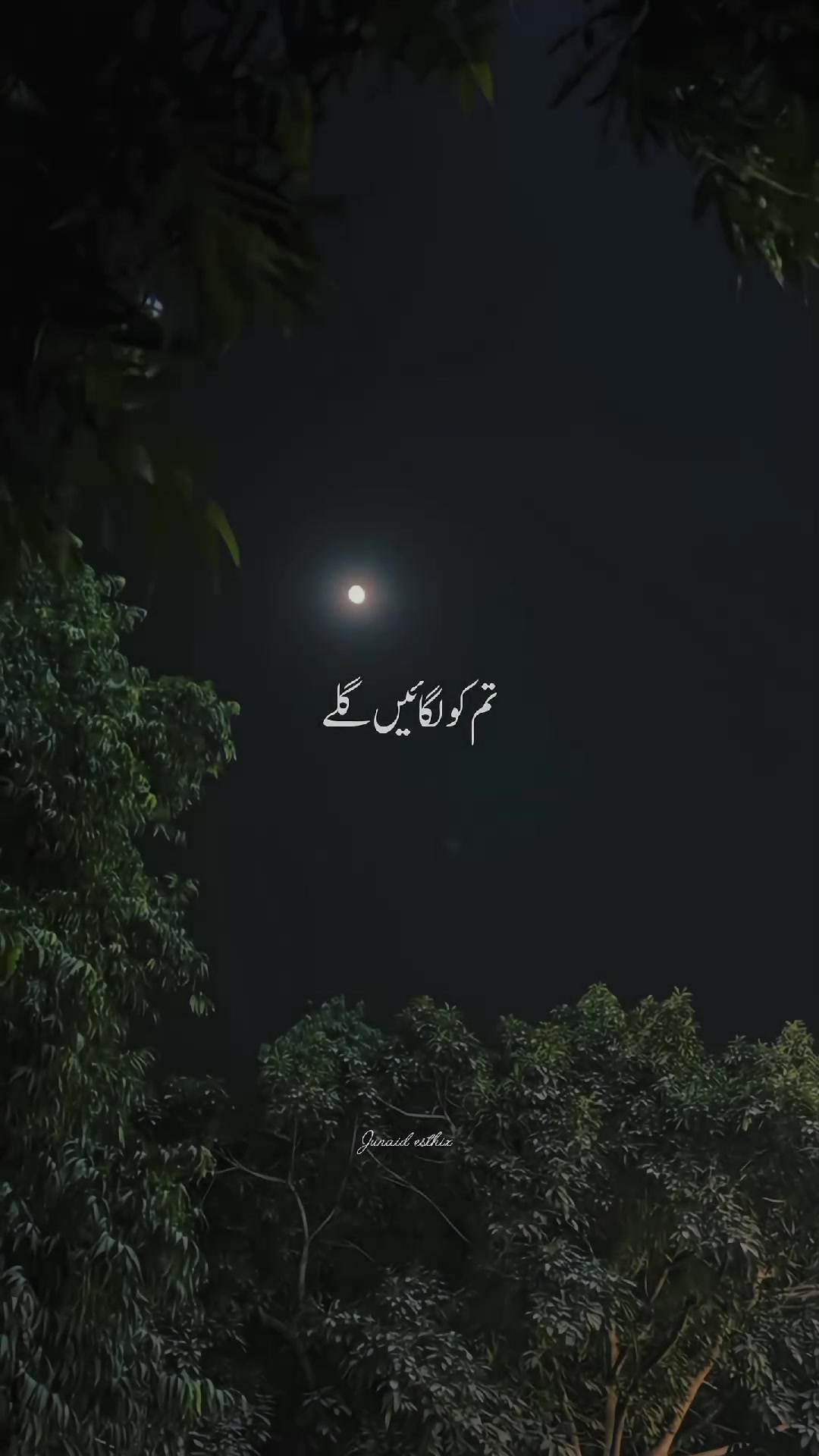 @ℕ𝔸𝕁𝔸𝔽_𝕁𝕌𝕋𝕥 😎