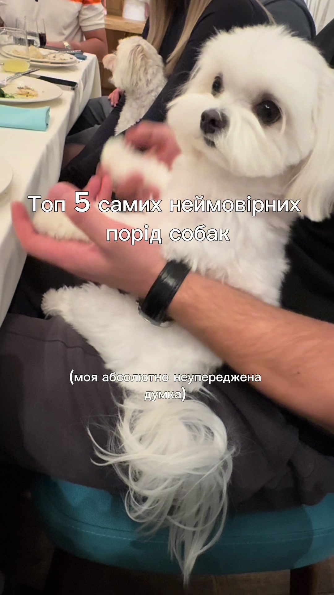 @I'm Eti 🐶🇺🇦