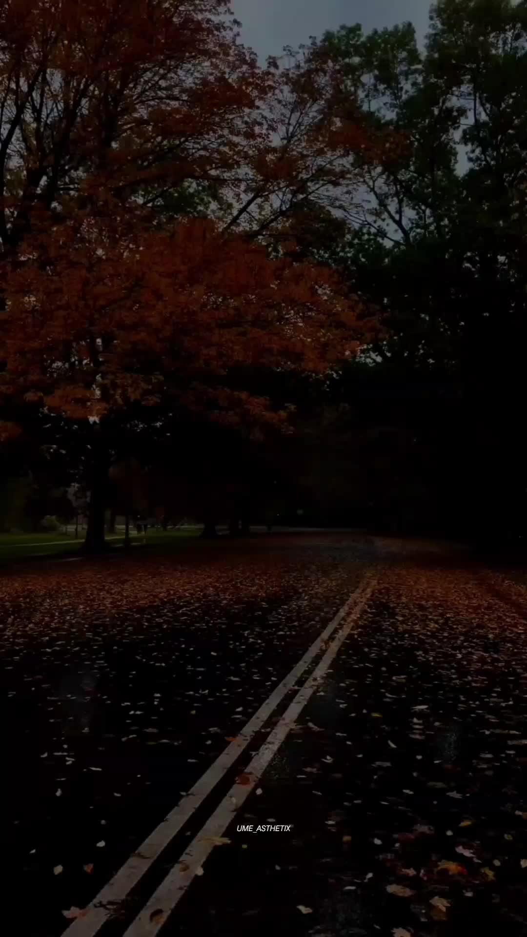 @𝙐 𝙈 𝙀🍁&bull;