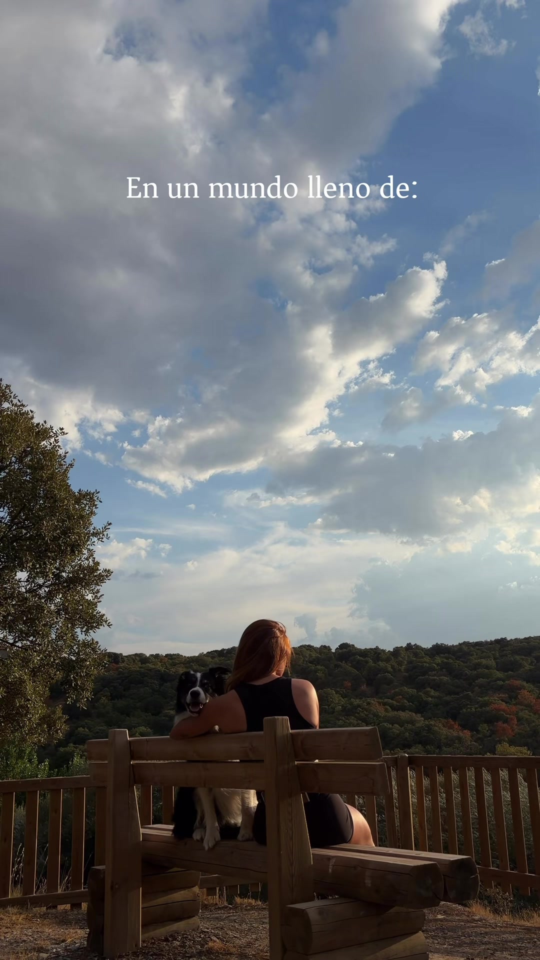 @naiararioss