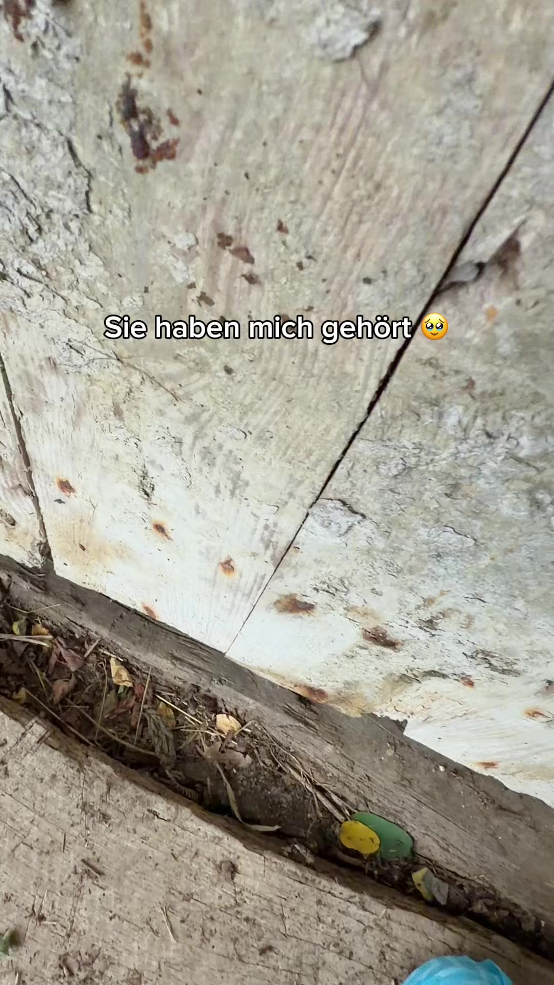 @natürlich patrik