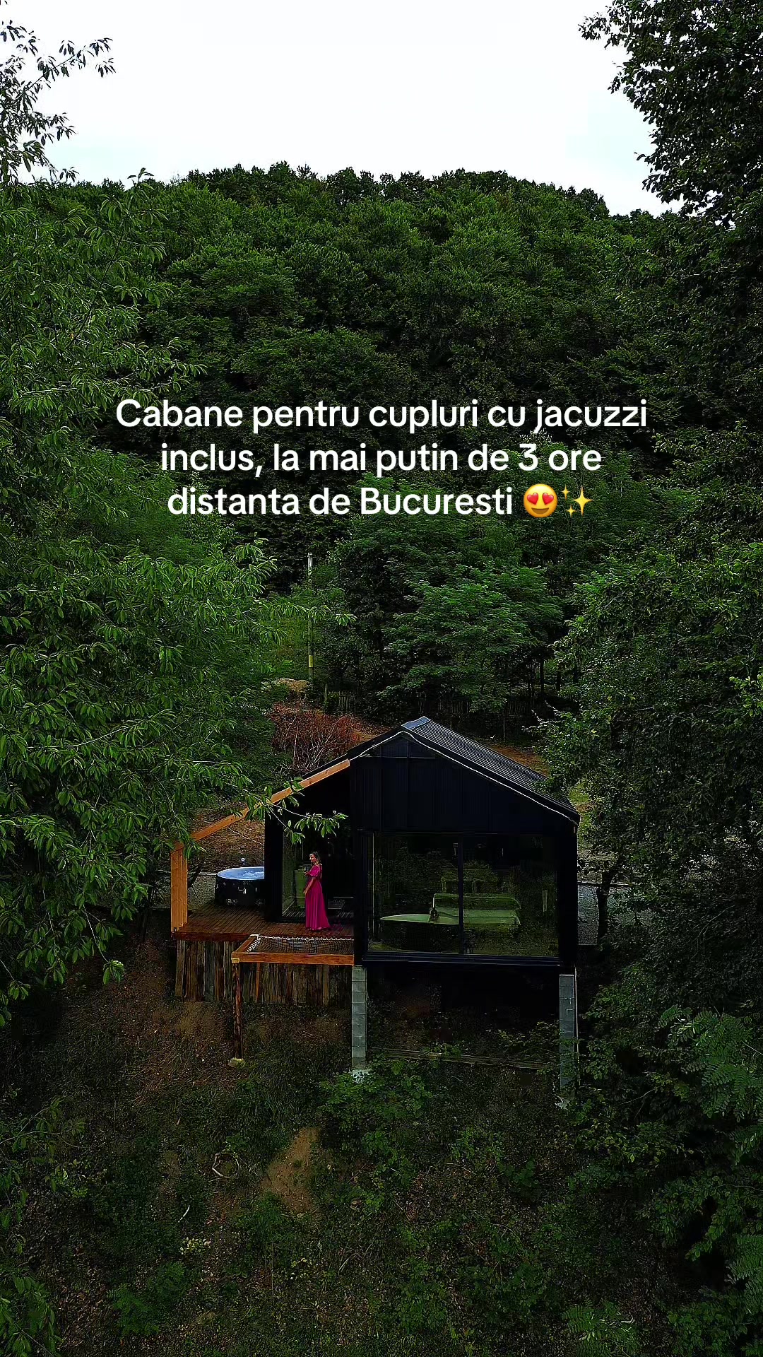 @Forest View Valcea