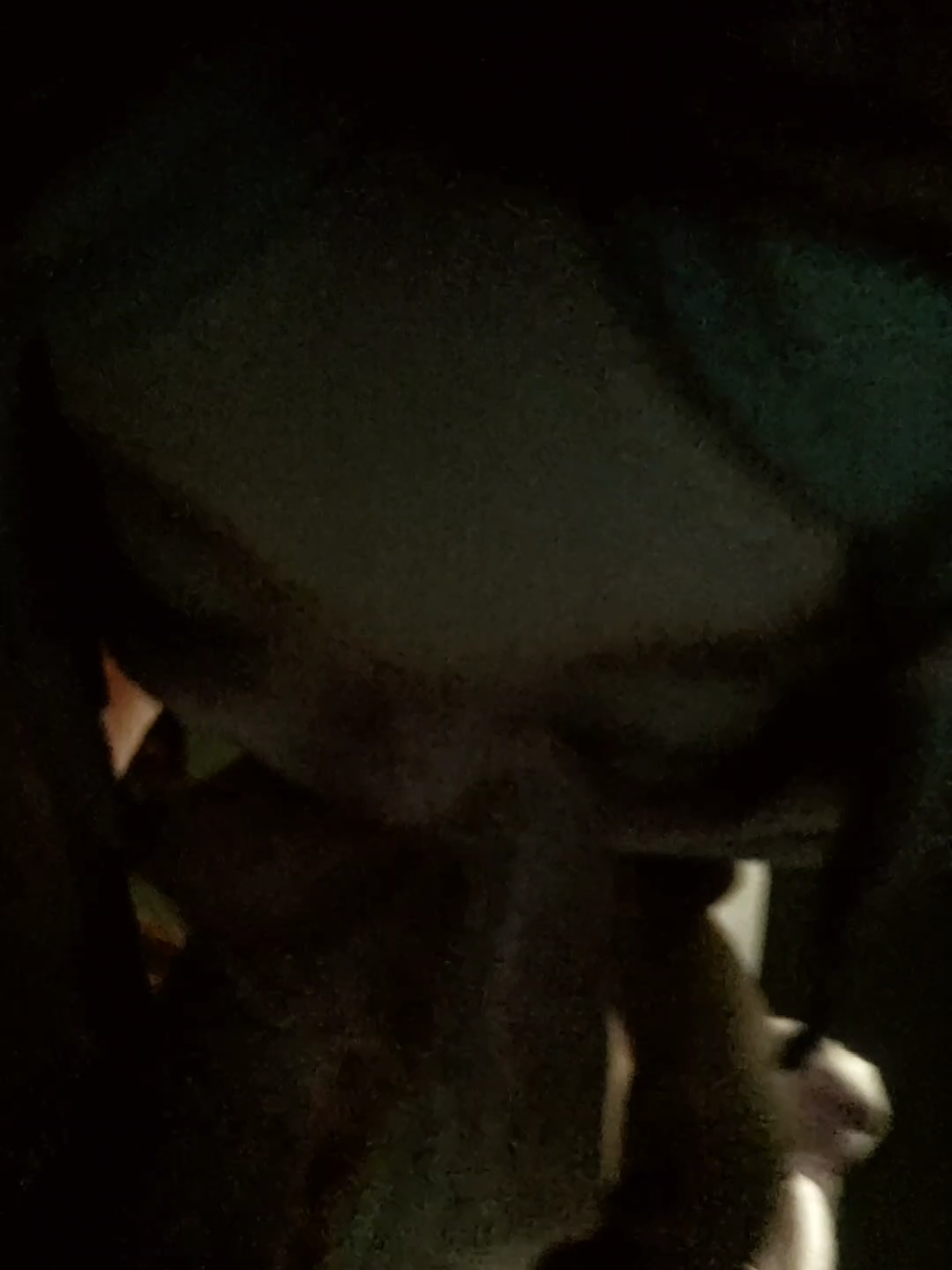 @◦•●◉✿ 𝑛̃𝑜𝑙𝑎 ✿◉●•◦