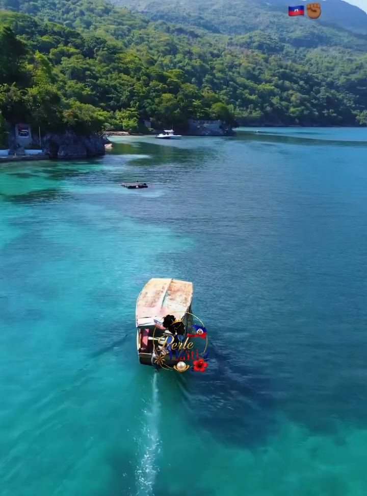 @🌴PERLE D'HAÏTI 🌴
