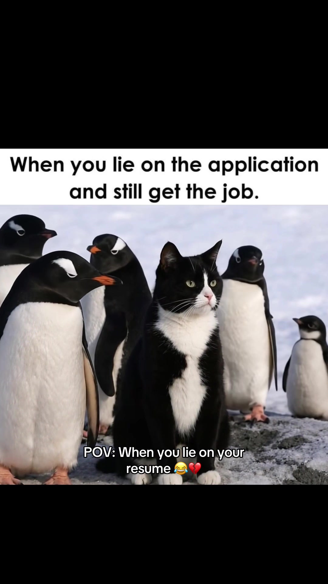 @Gentul Clips | Relatable Memes