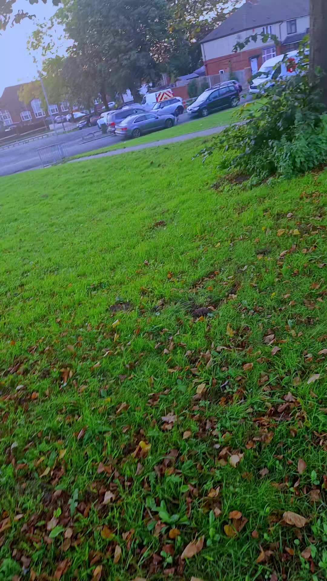 @shehzadi kashmiriuk 🇬🇧