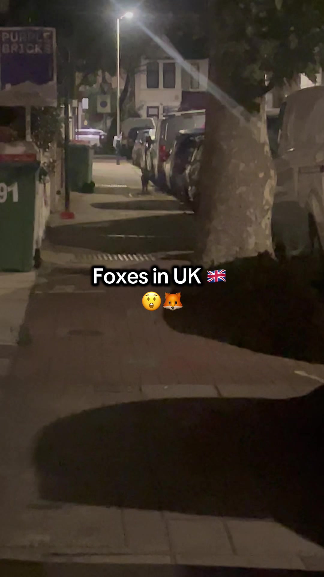 @Bluěy & Hāzel Life🇬🇧