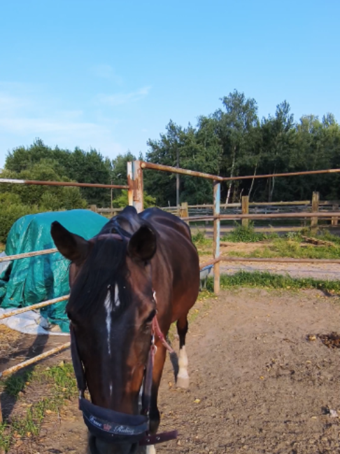 @kskcasper