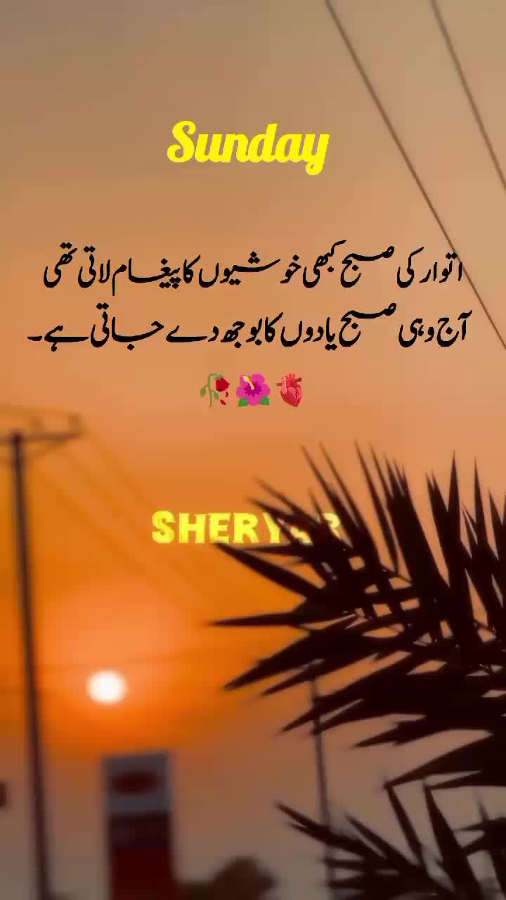 @sheryar
