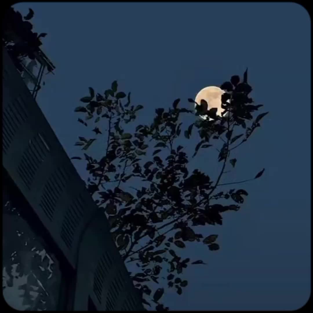 @𝑨𝑬𝑺𝑻𝑰𝑿 𝑿 𝑺𝑨𝑼𝑫 🎧