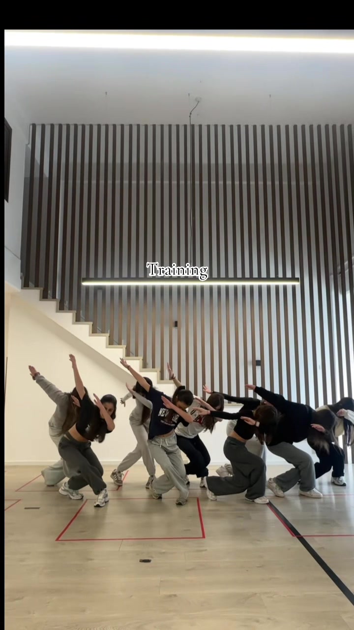 @TheDanceProject