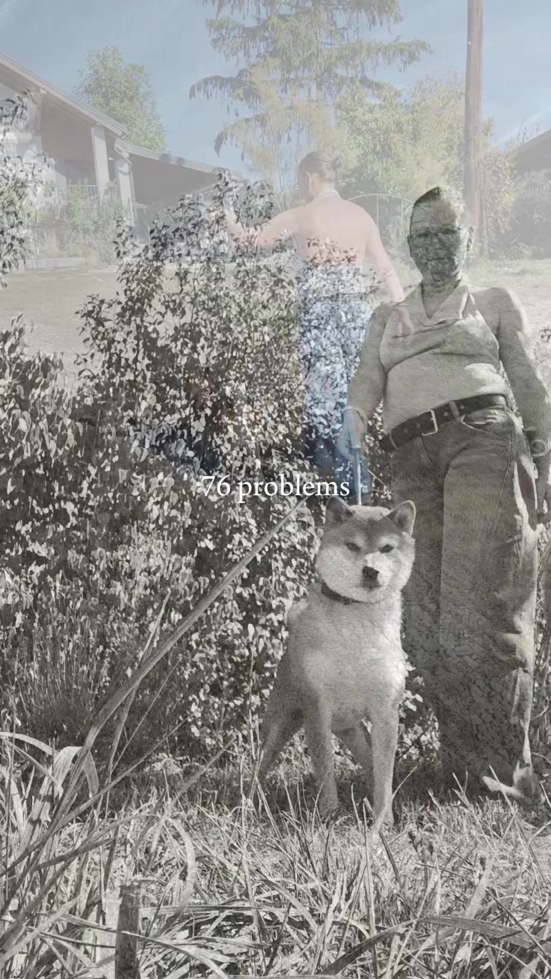 @Spirit of Asia Kennel