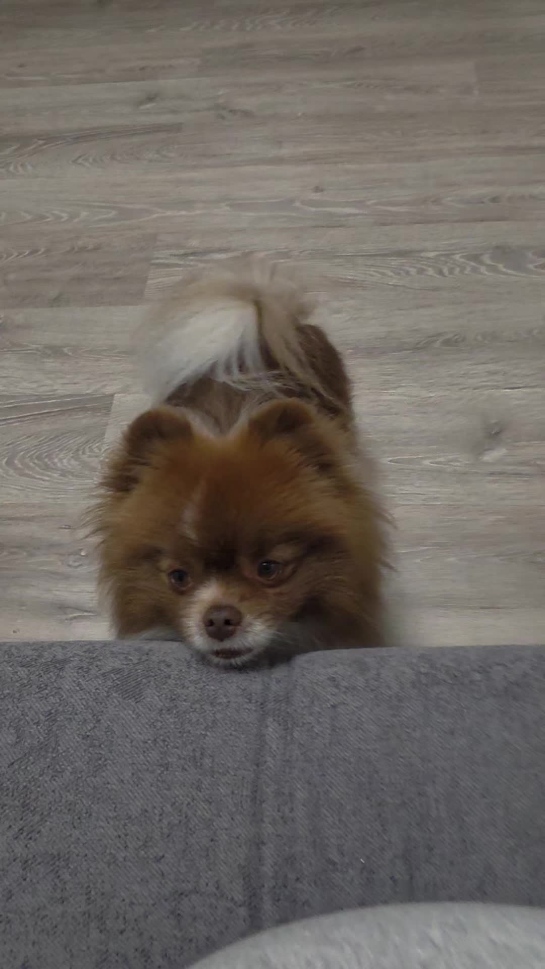 @Alina
