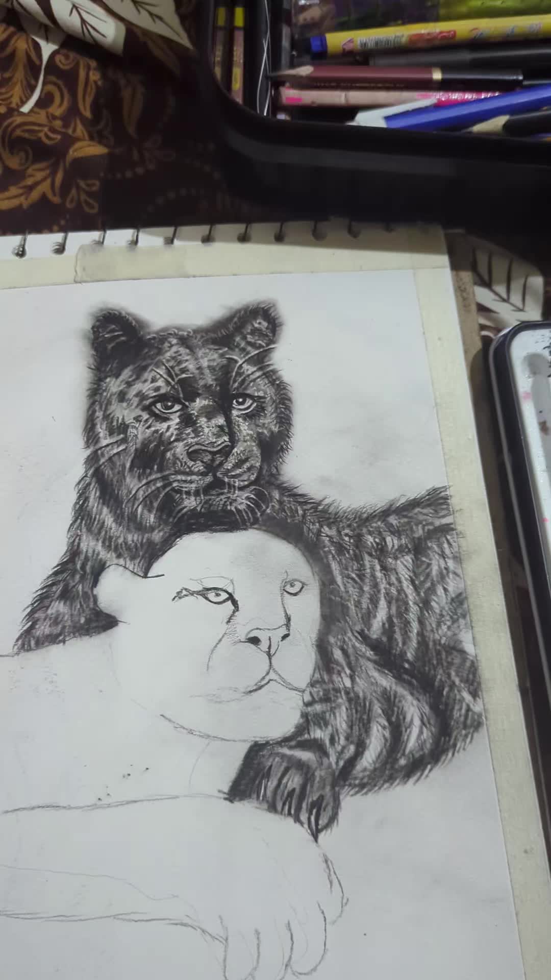 @ButterflyAsmaArt