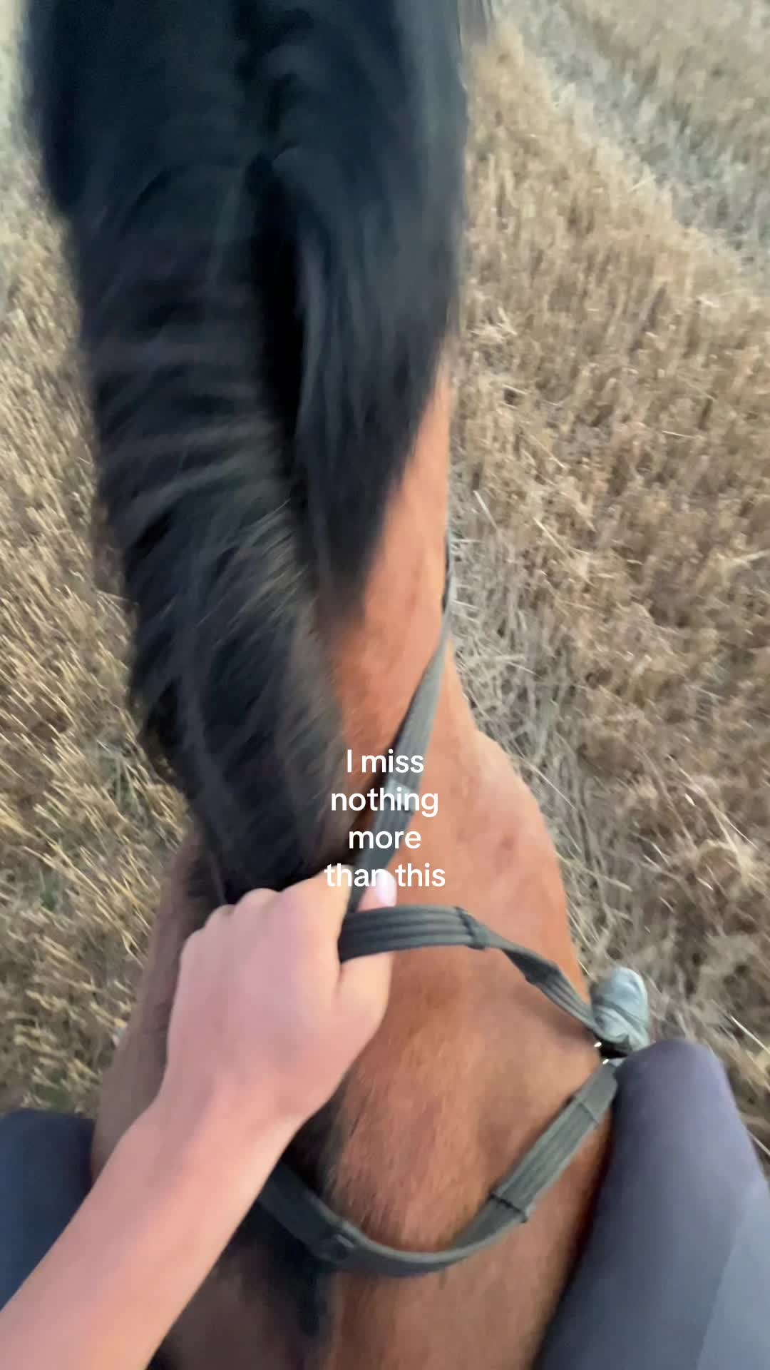 @𝐢𝐬𝐚