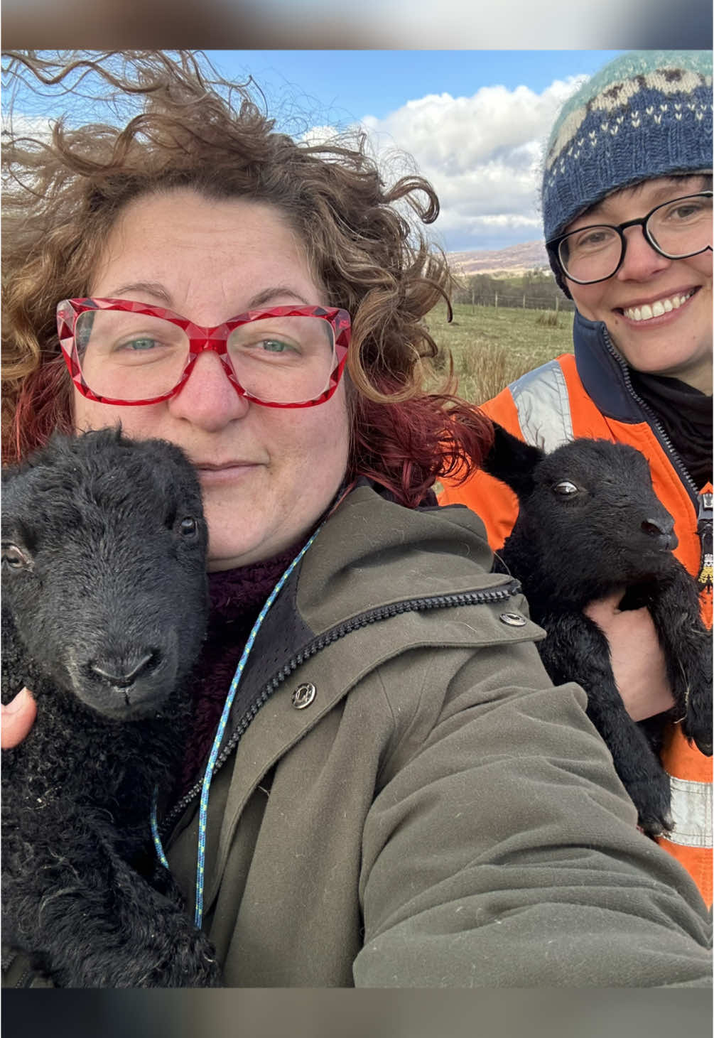 @Marti Border Collie Geek