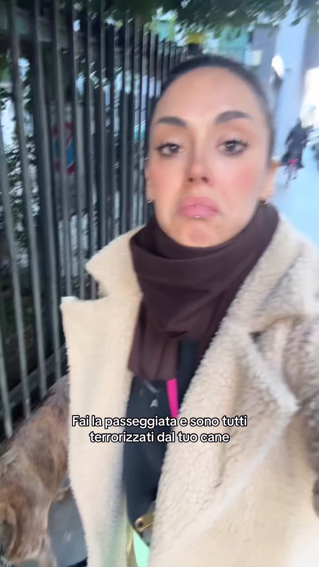@Alice.Y