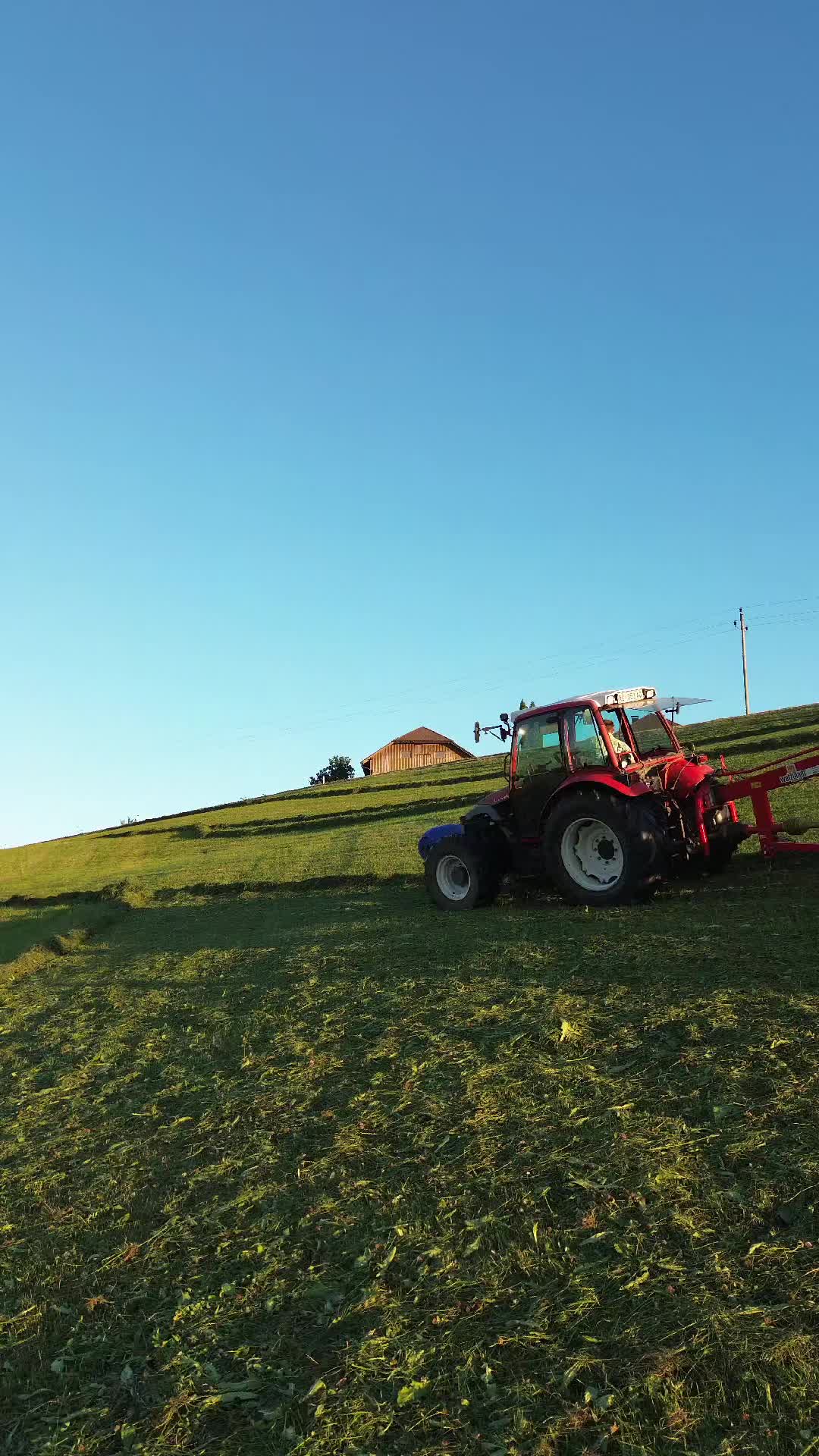 @🐄🇦🇹Gahli🇦🇹🐄