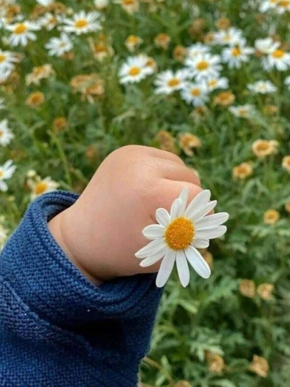 @Sky_angel🕊️