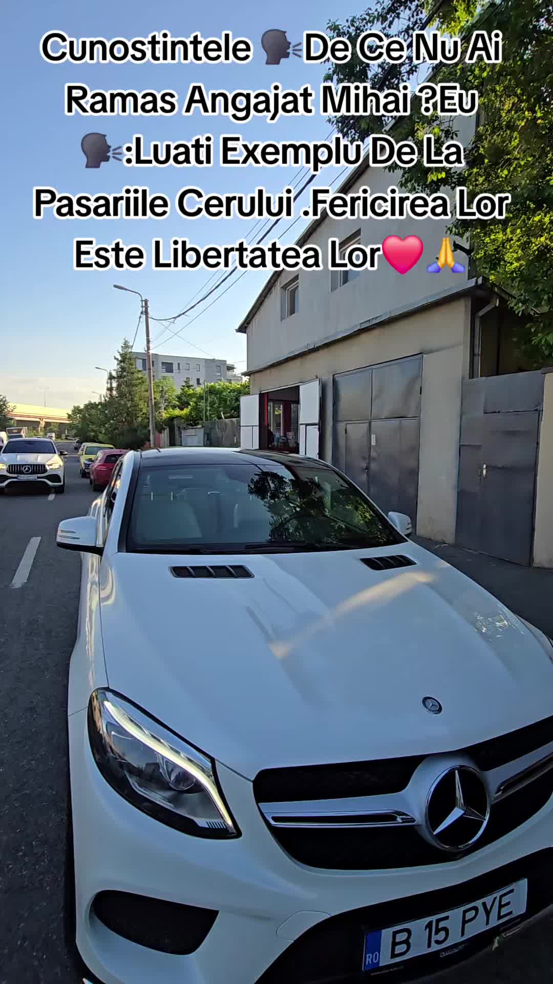 @mihaicalina
