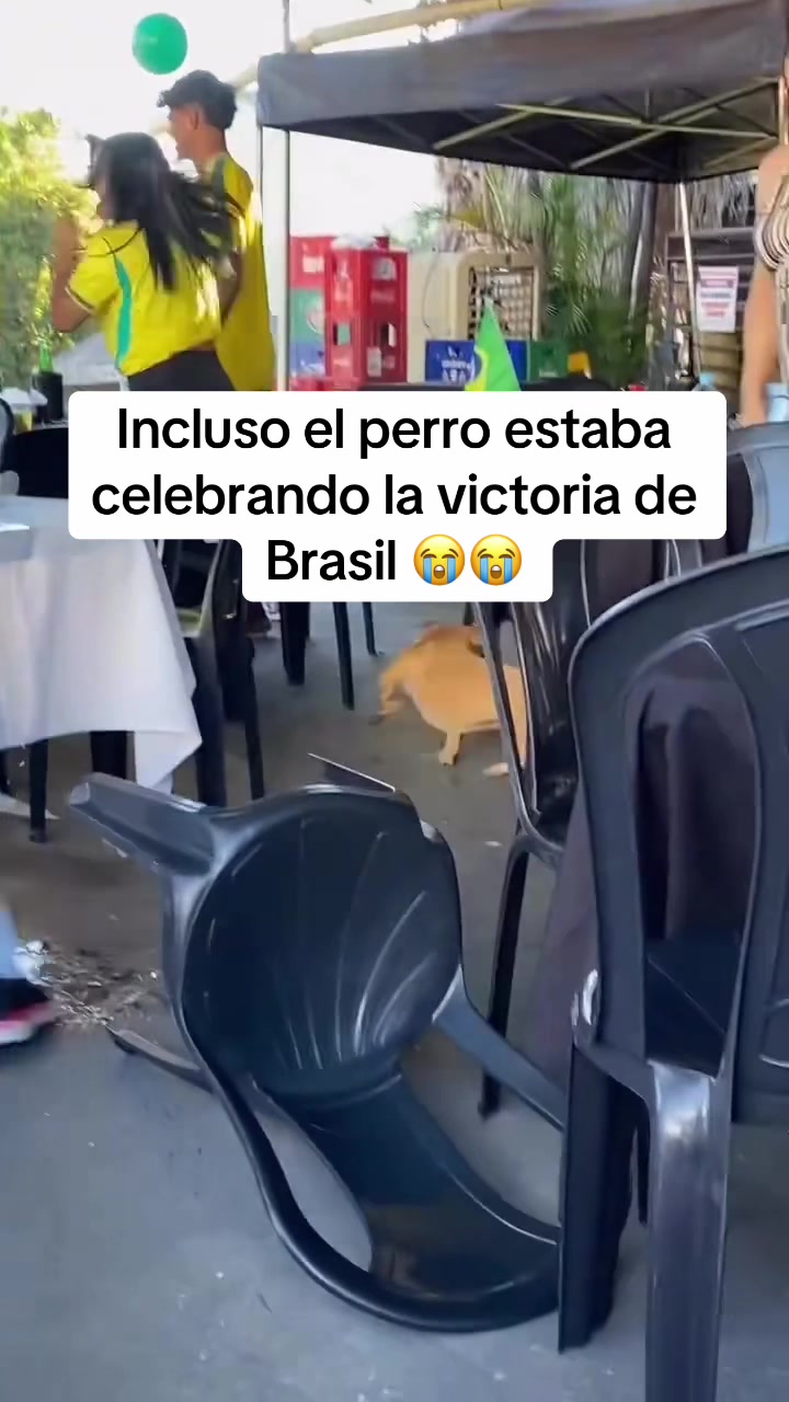 @Ceciarmy