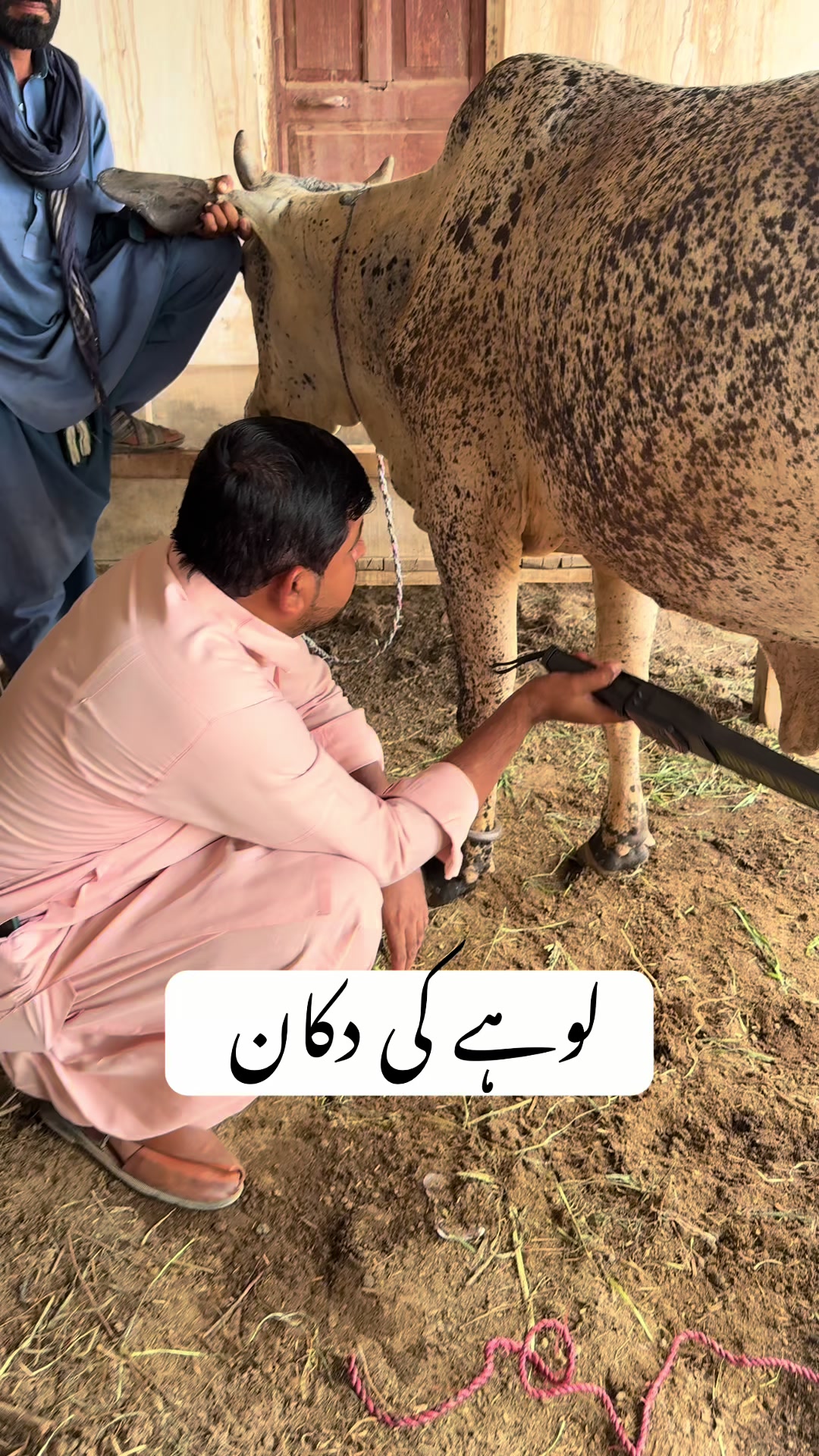 @vet.dr.mohsin4800