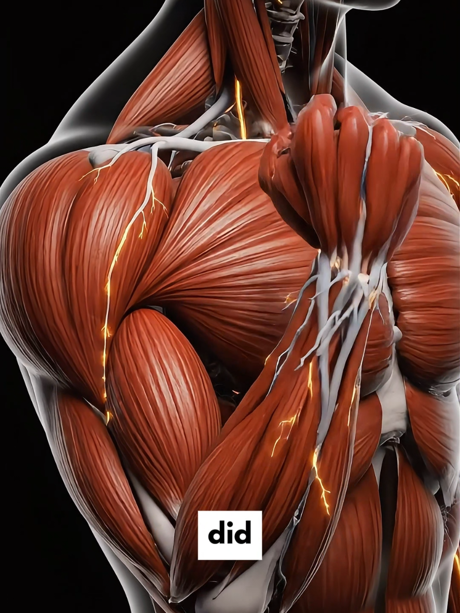 @Flexplained