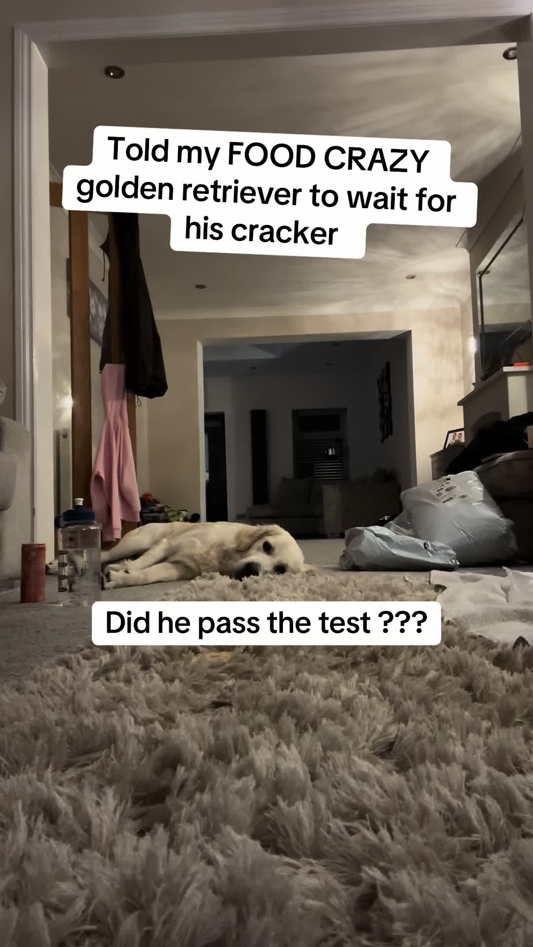 @lisachomeandbeauty