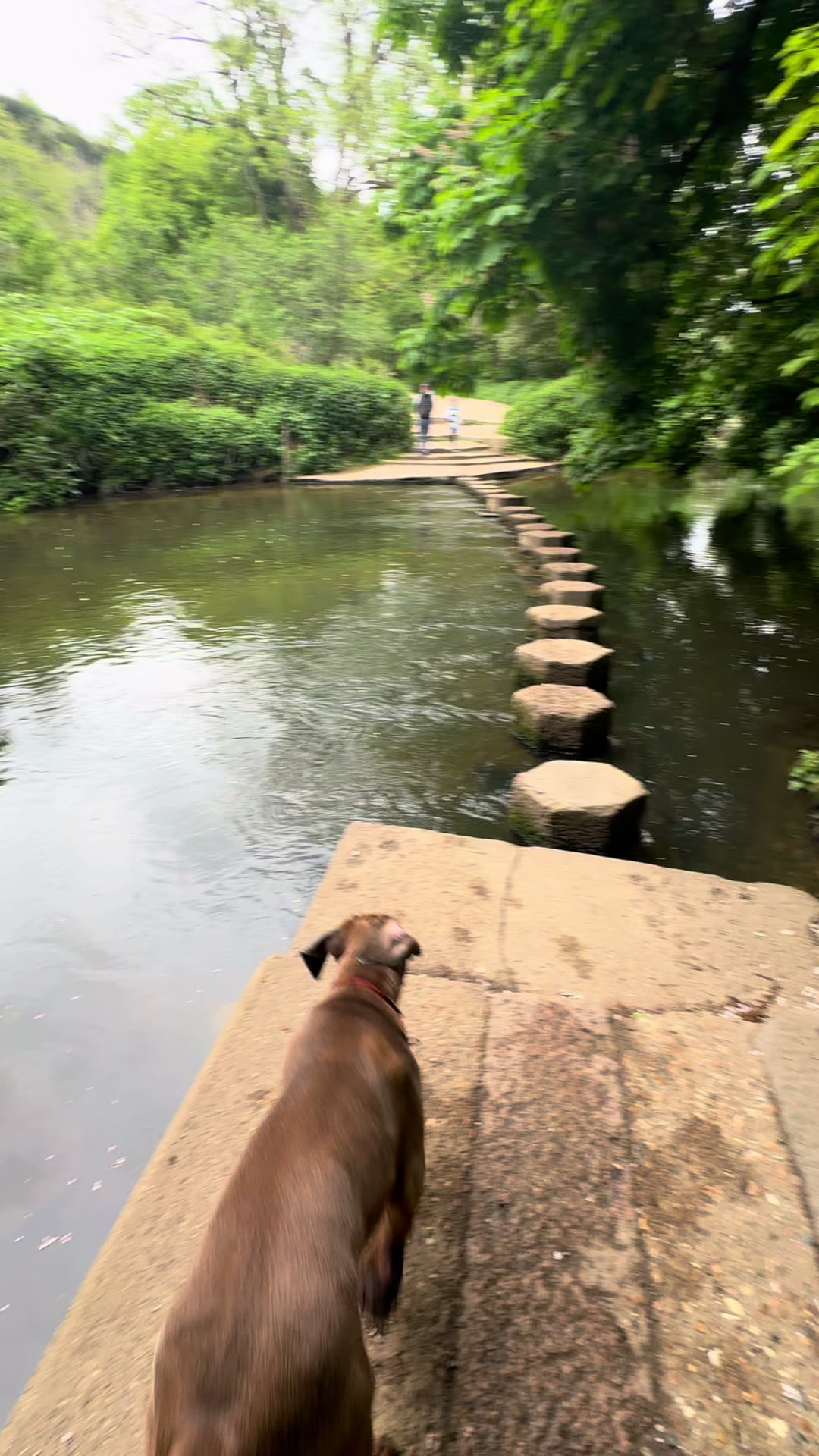 @Chicocanecorso