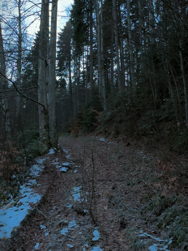 @4KNature