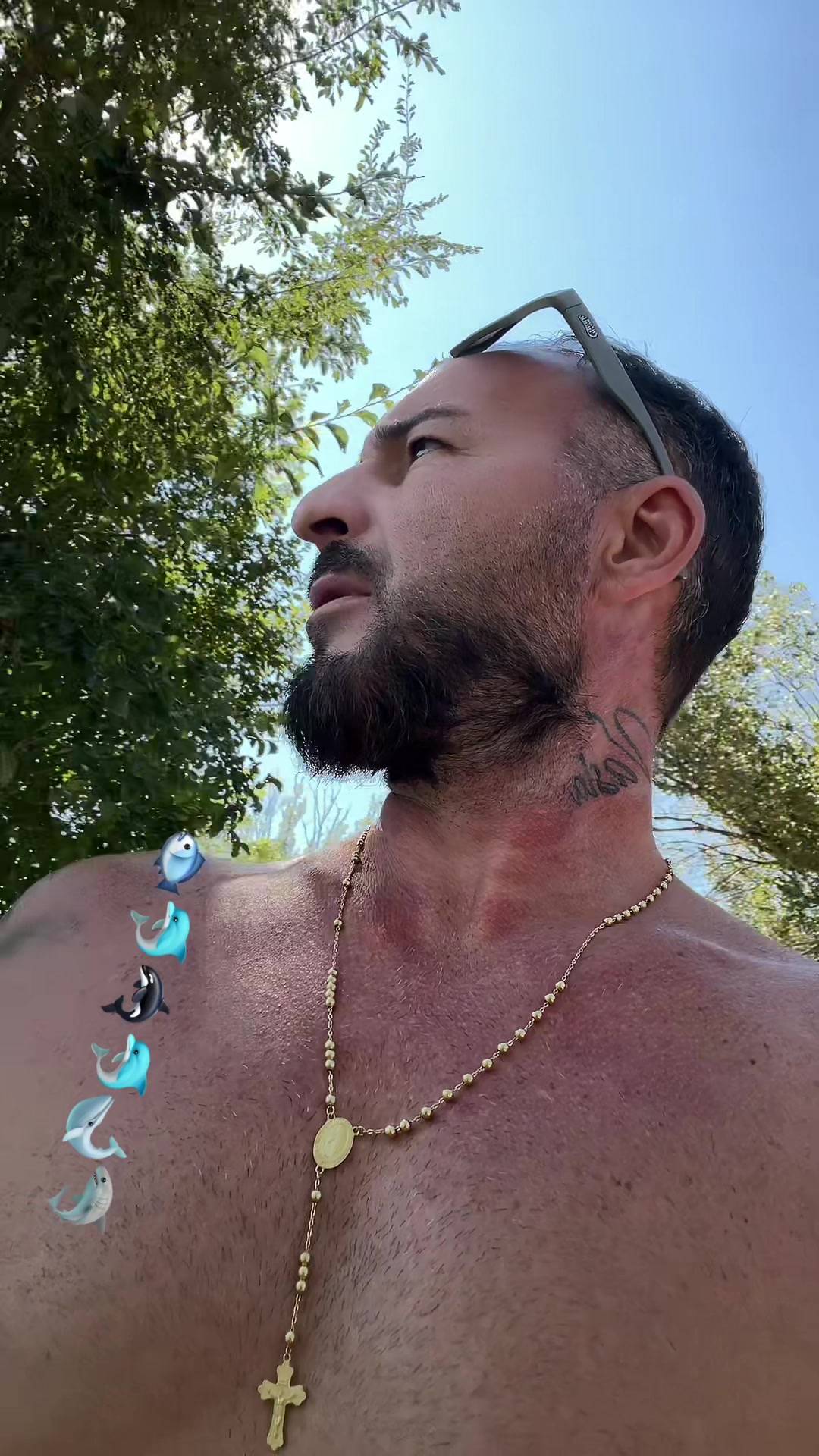 @RobertPredoiu