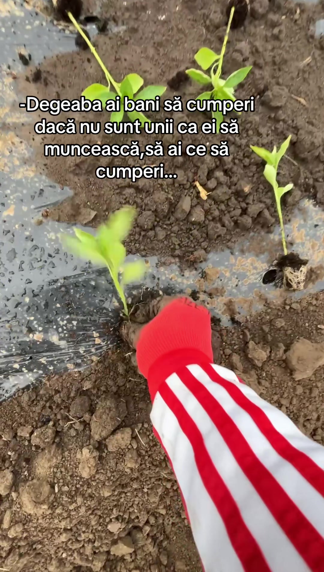 @❤️&zwj;🔥Crețu❤️&zwj;🔥