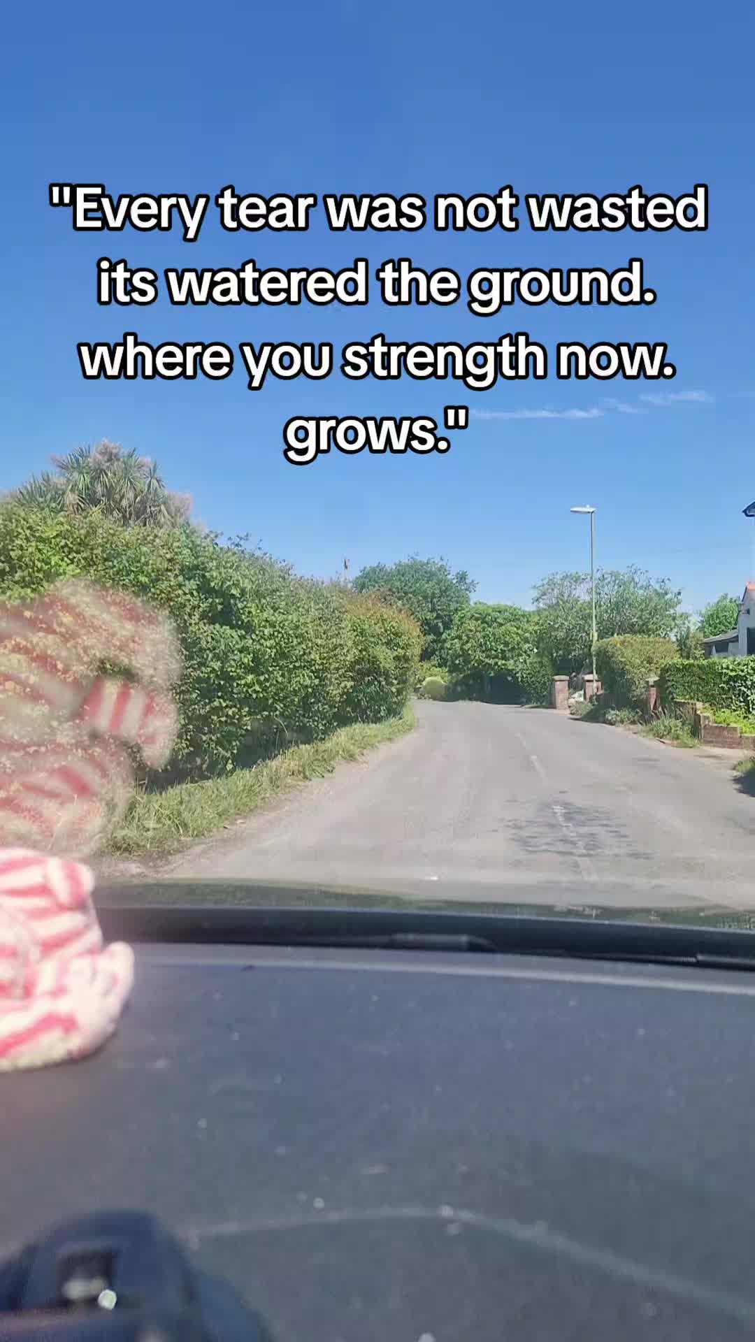 @🇬🇧MOONLIGHT_SHADOW&trade;️🇮🇪🔮