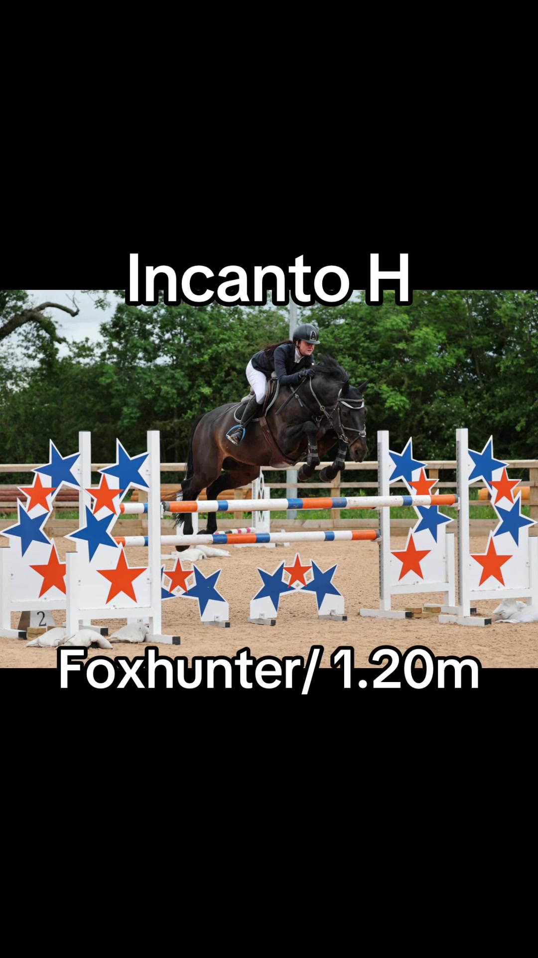 @RavenSide Equestrian