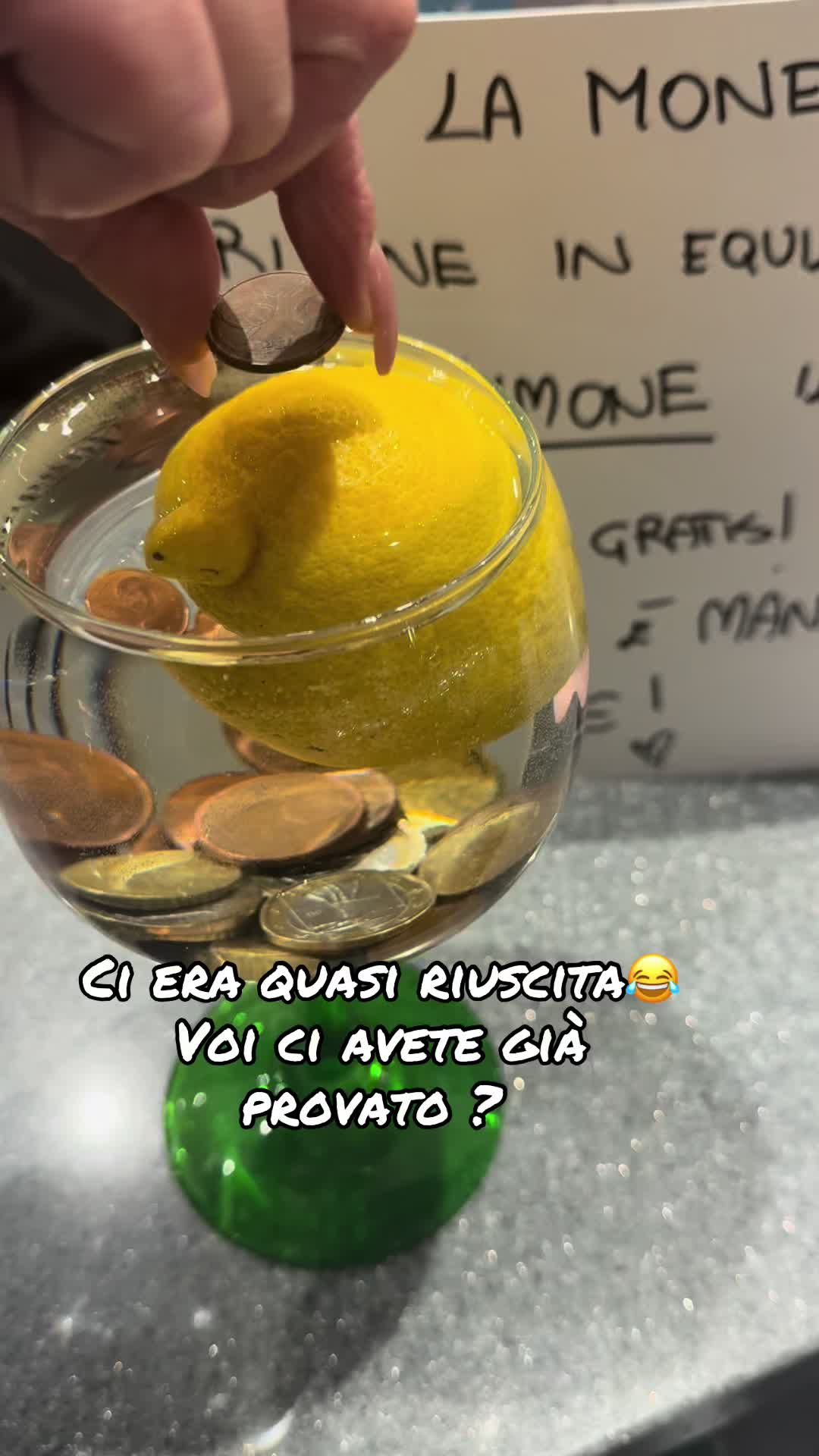@miky tomaiuolo