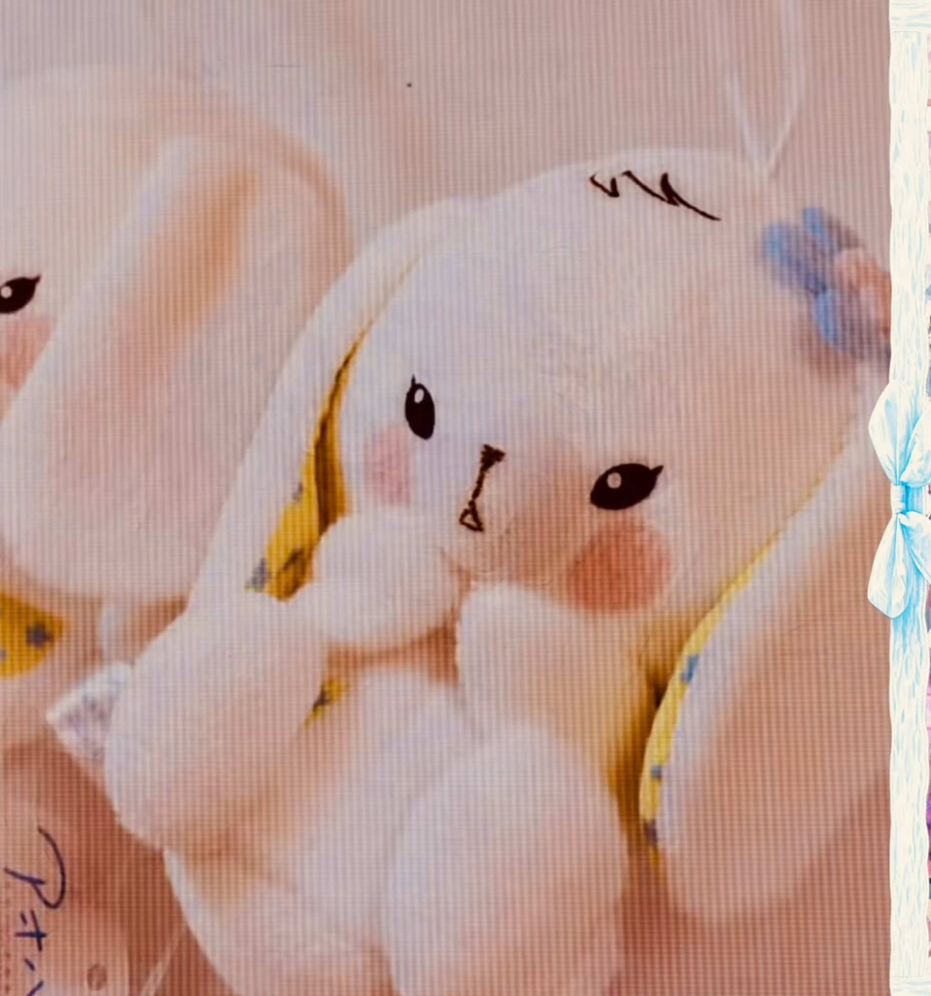 @𝒮𝑜𝓇𝒶𝒾𝒶𓂃🎐❦ ˖ ࣪ ☽