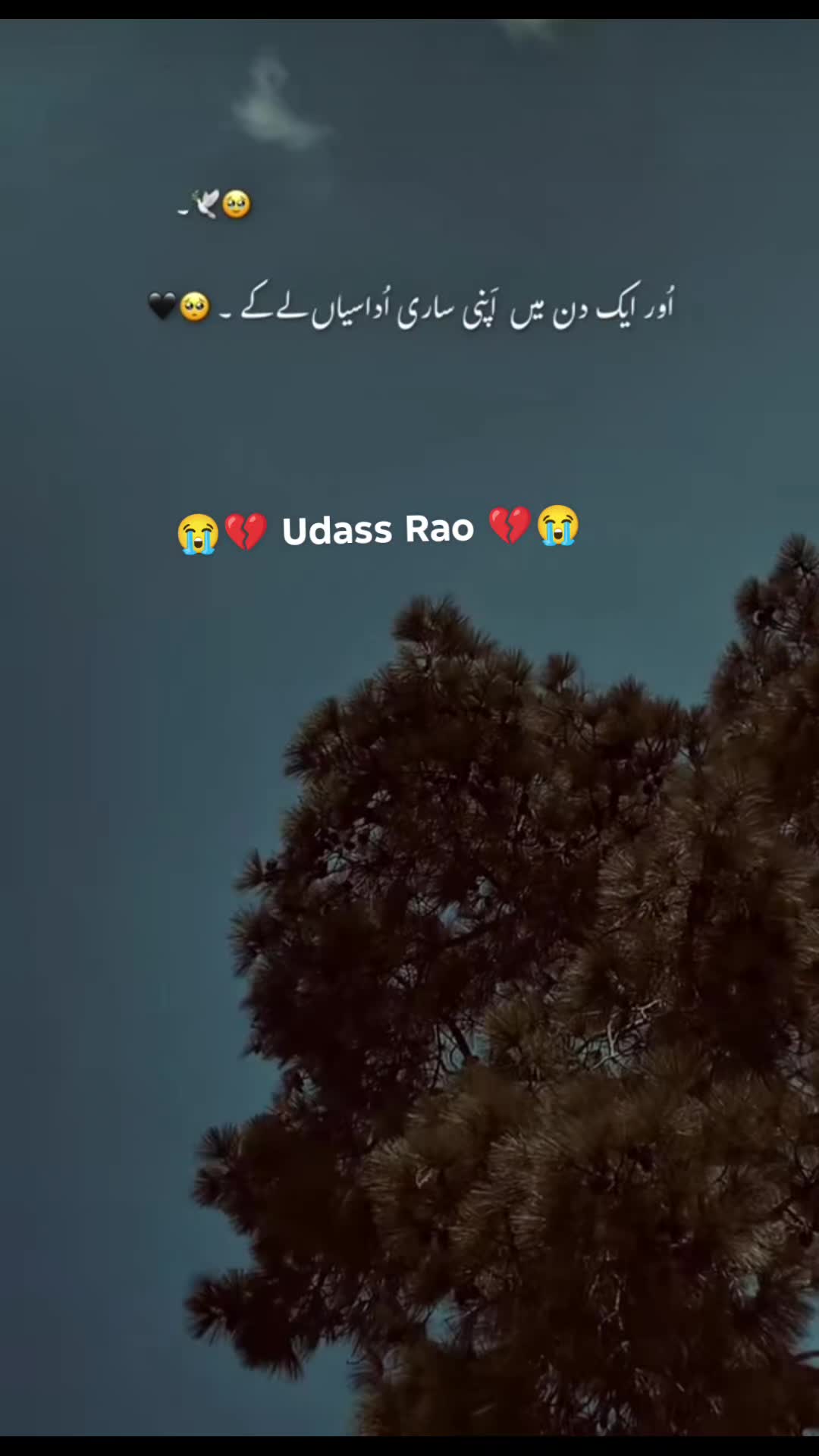 @💔 U͢d͢a͢s͢s͢ R͢a͢o͢ 💔
