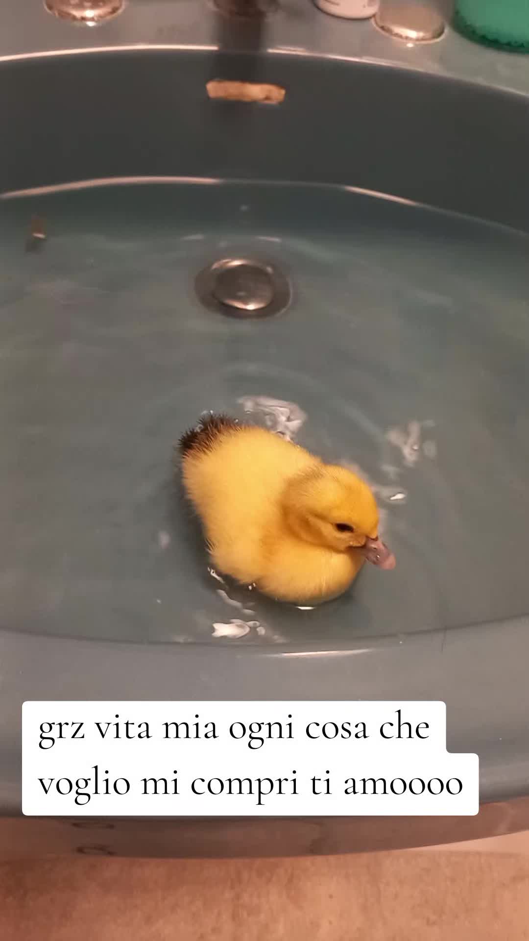 @Jessica