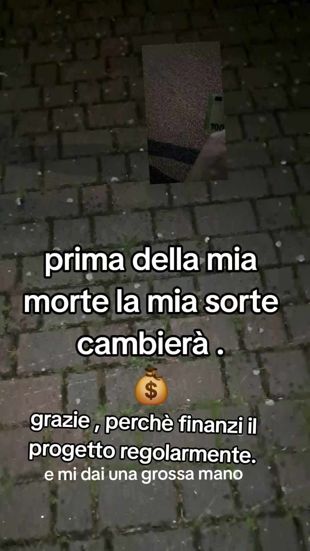 @Mario Vassecchi