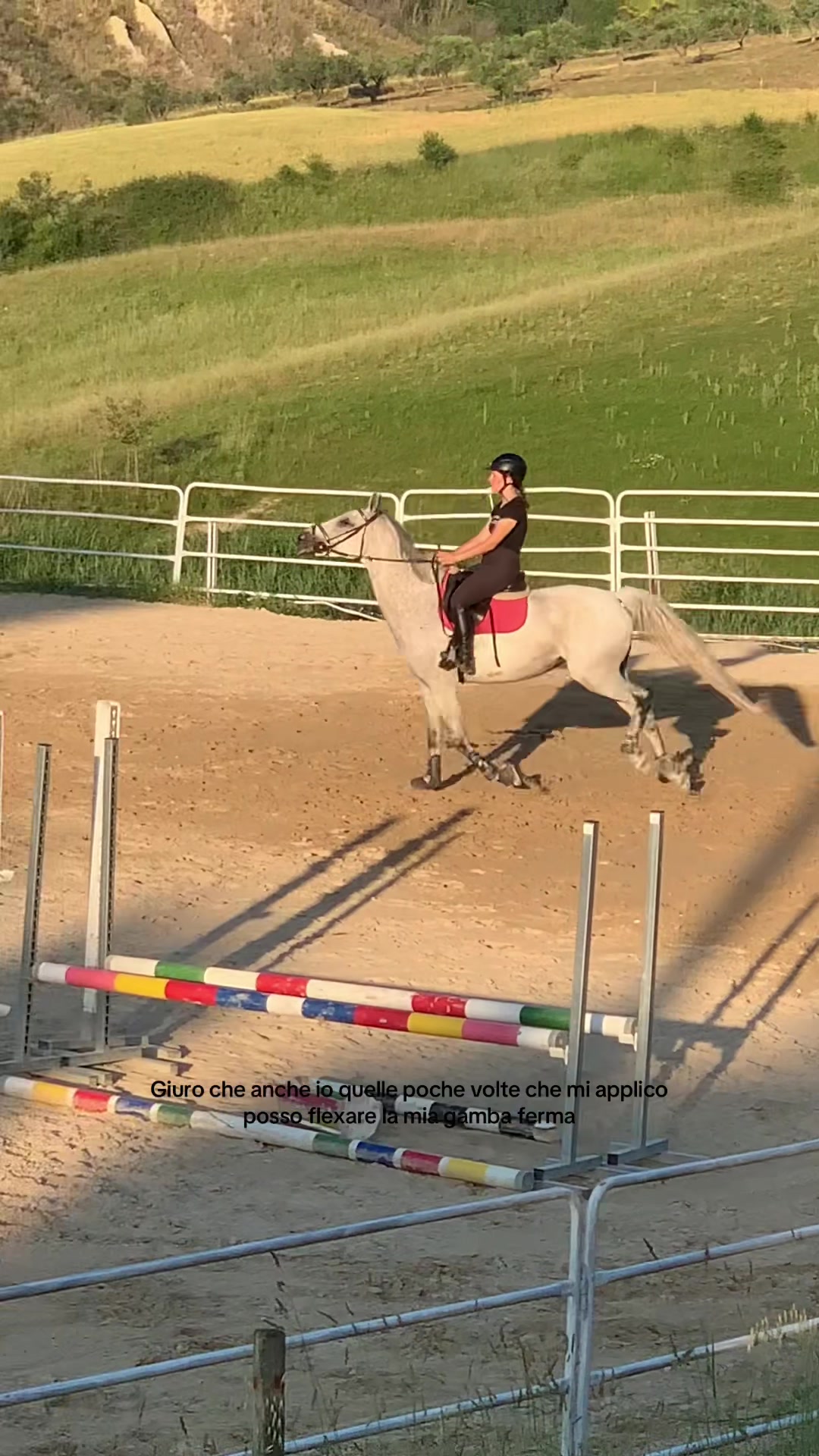 @equestrian_ale