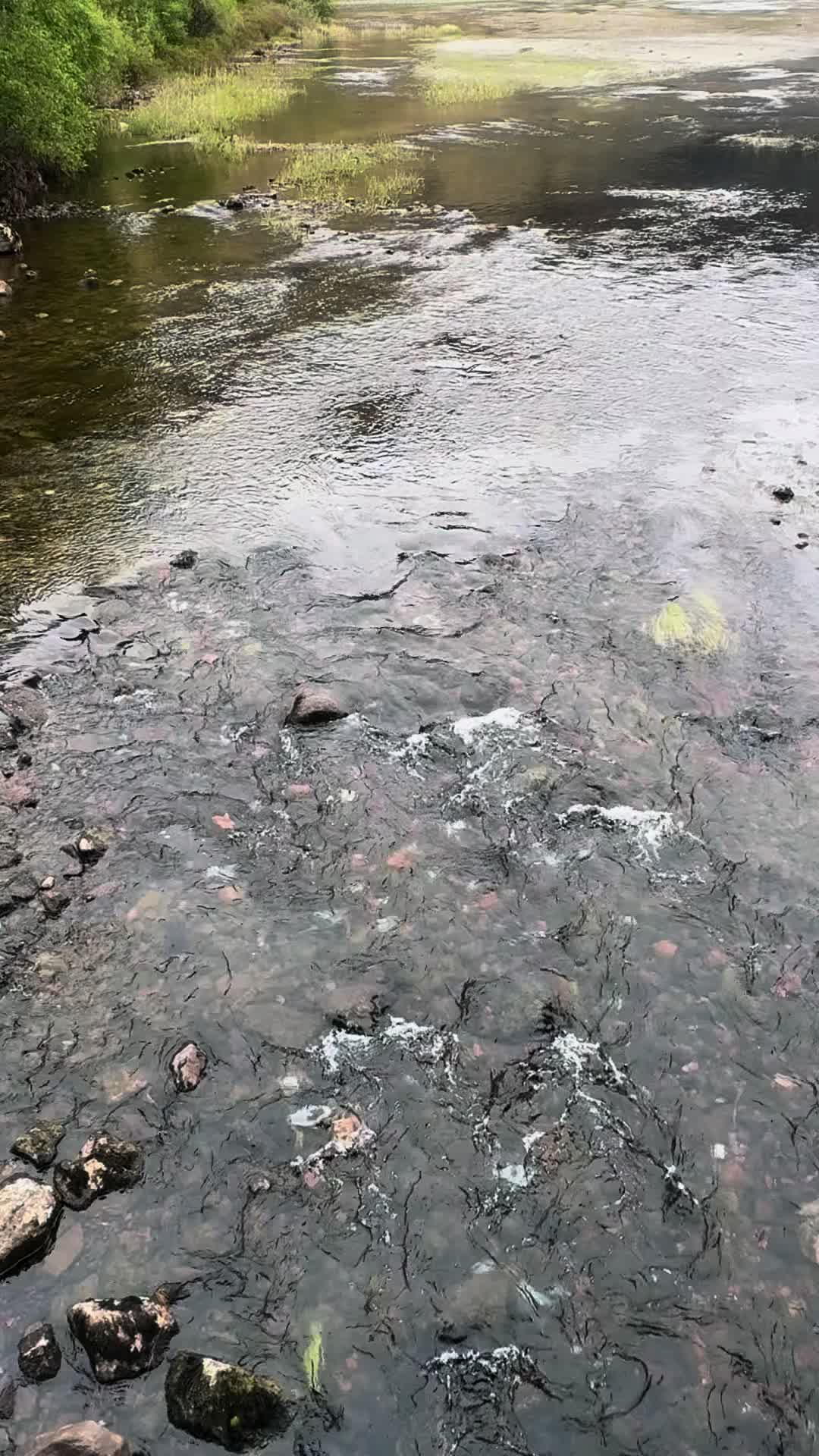 @amanda173000