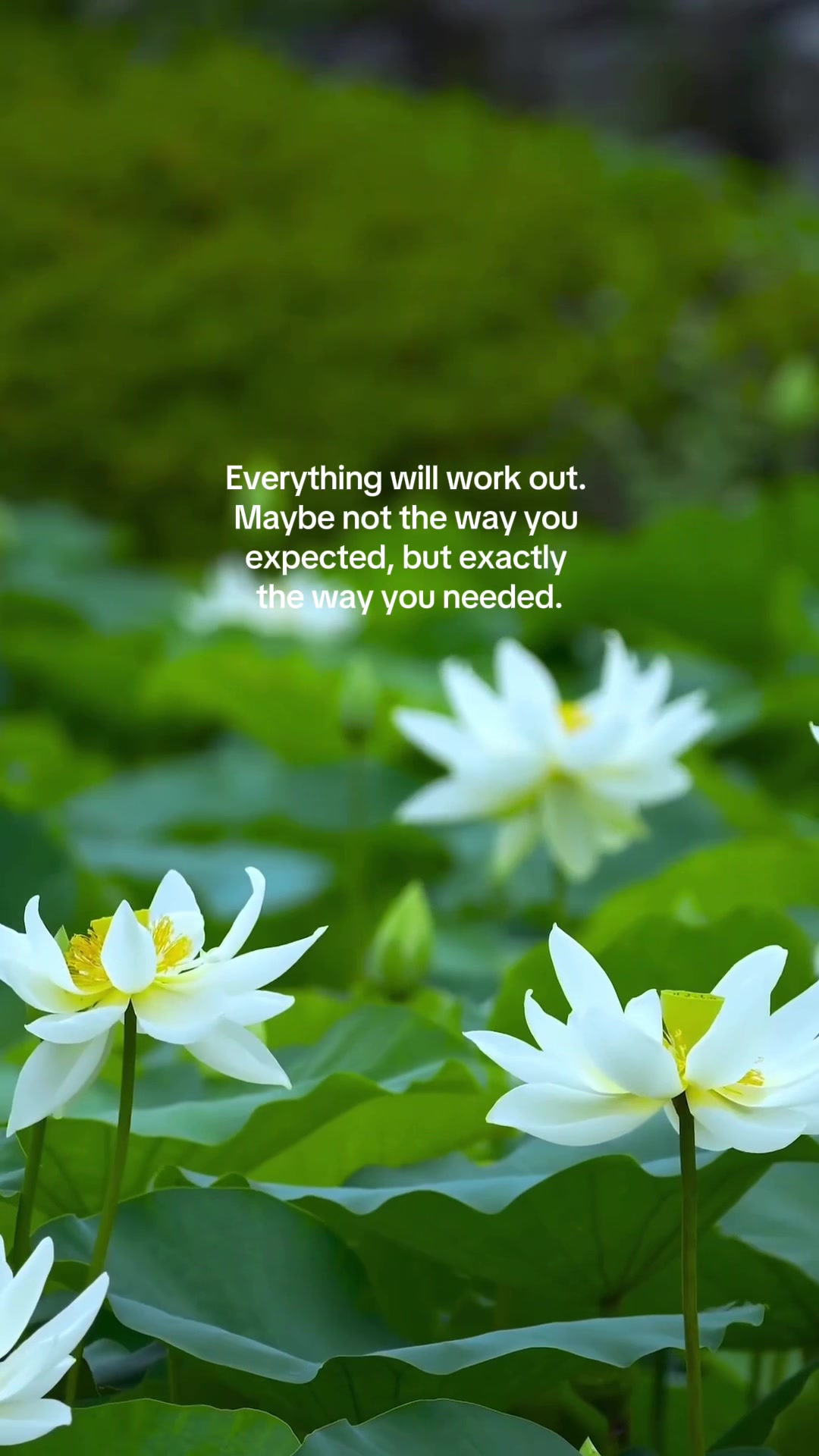 @VIVIDNOW Mindset & Positivity