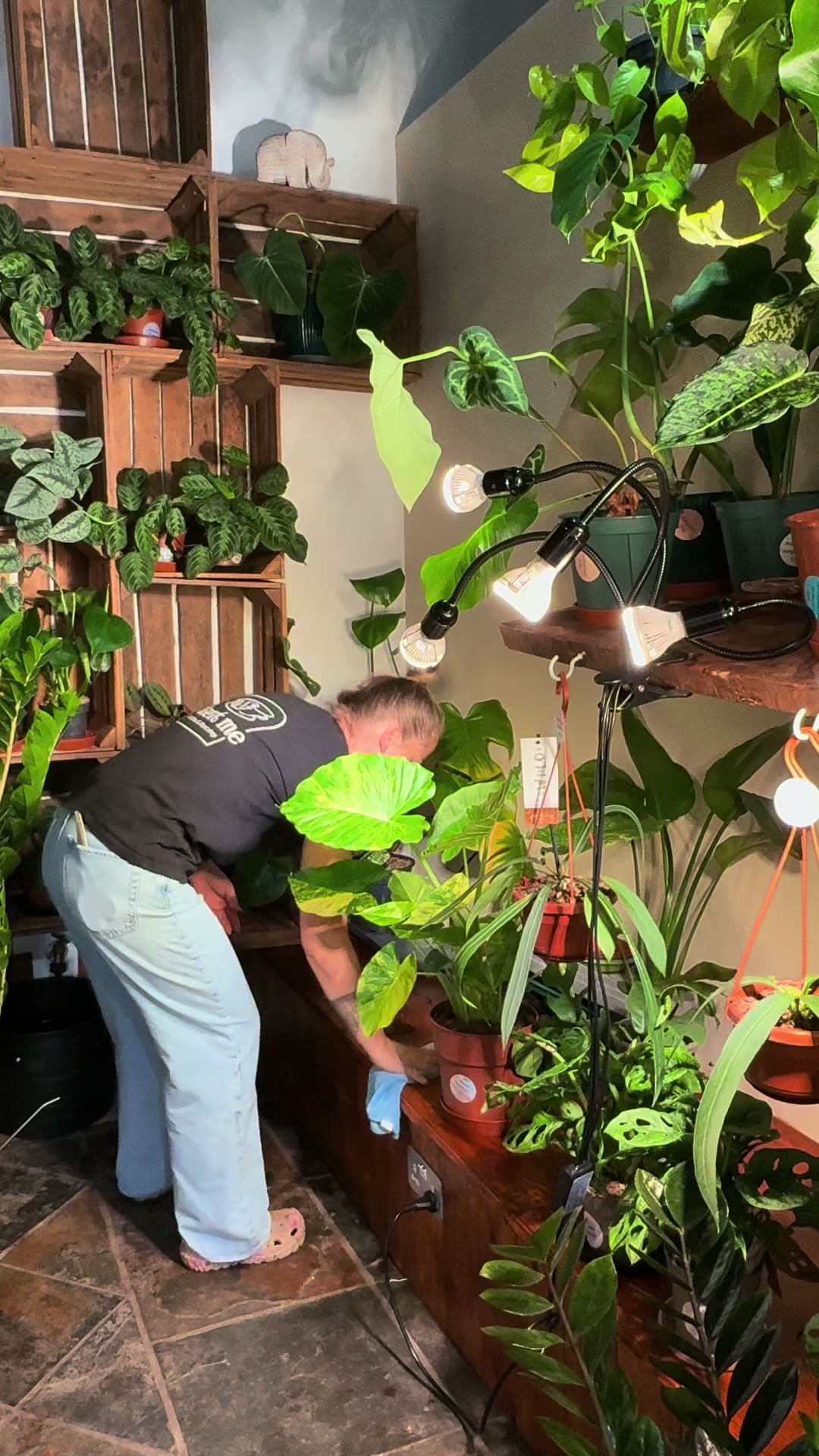 @Plant me ltd cafe Rugby 🇬🇧