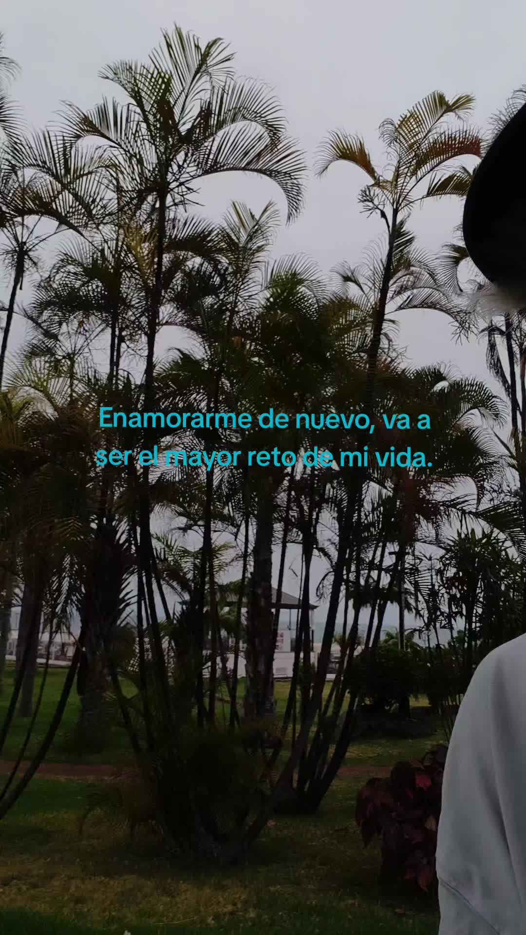 @PatoJimenez🥊