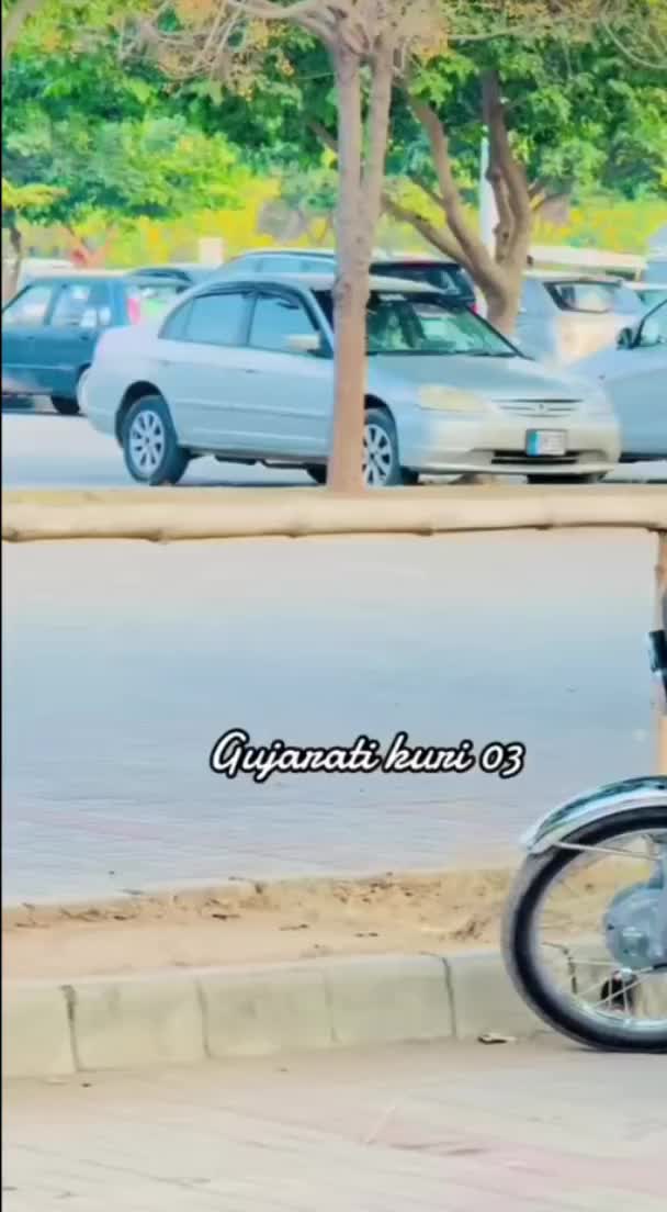 @Gujarati kuri 03