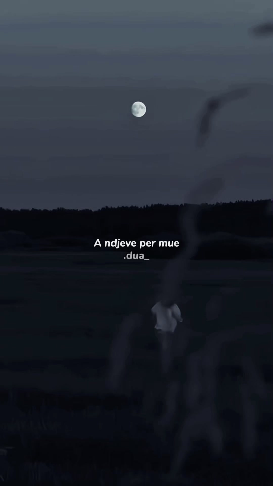 @𝗗 𝗨 𝗔