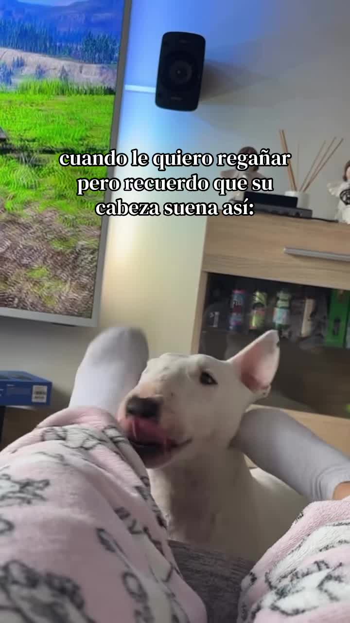 @Alba Ca&ntilde;izares