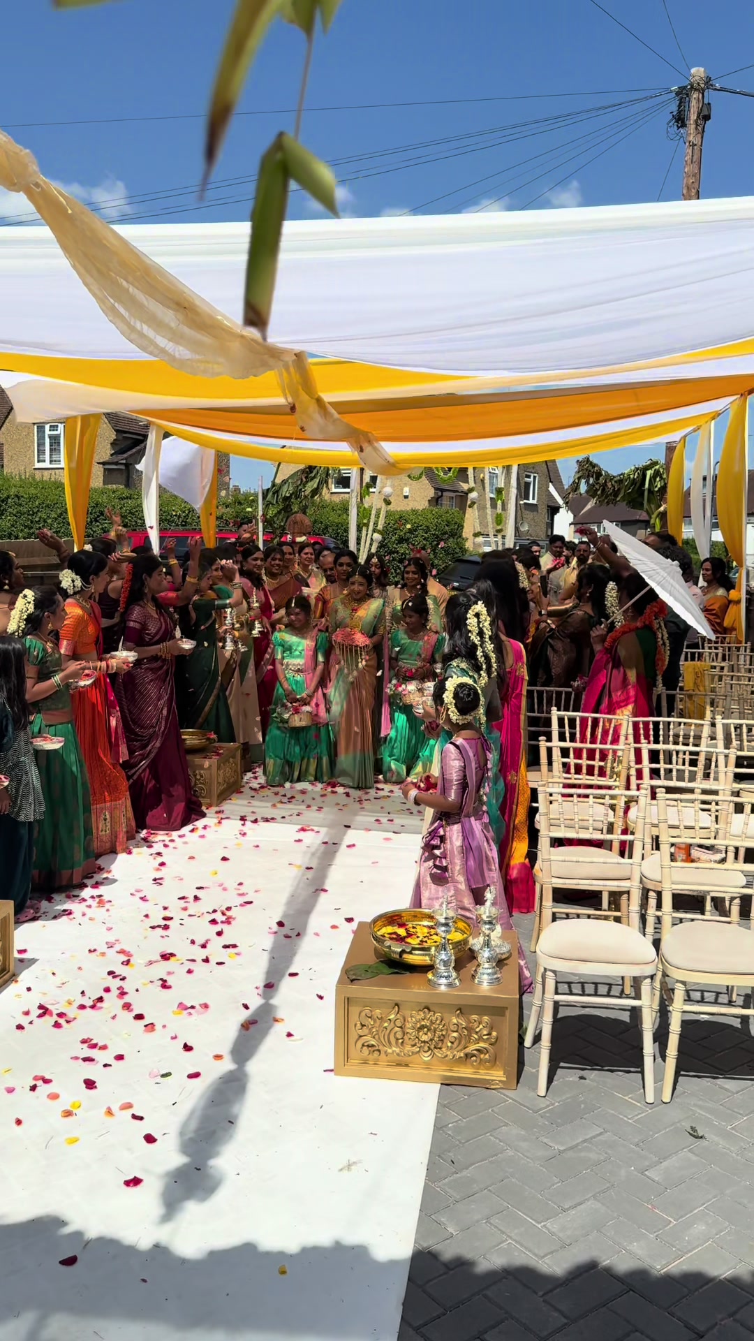@Arishaa Sarees