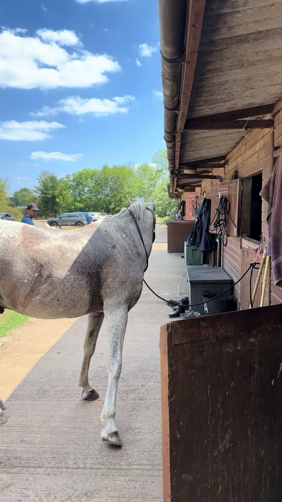 @Slough horses
